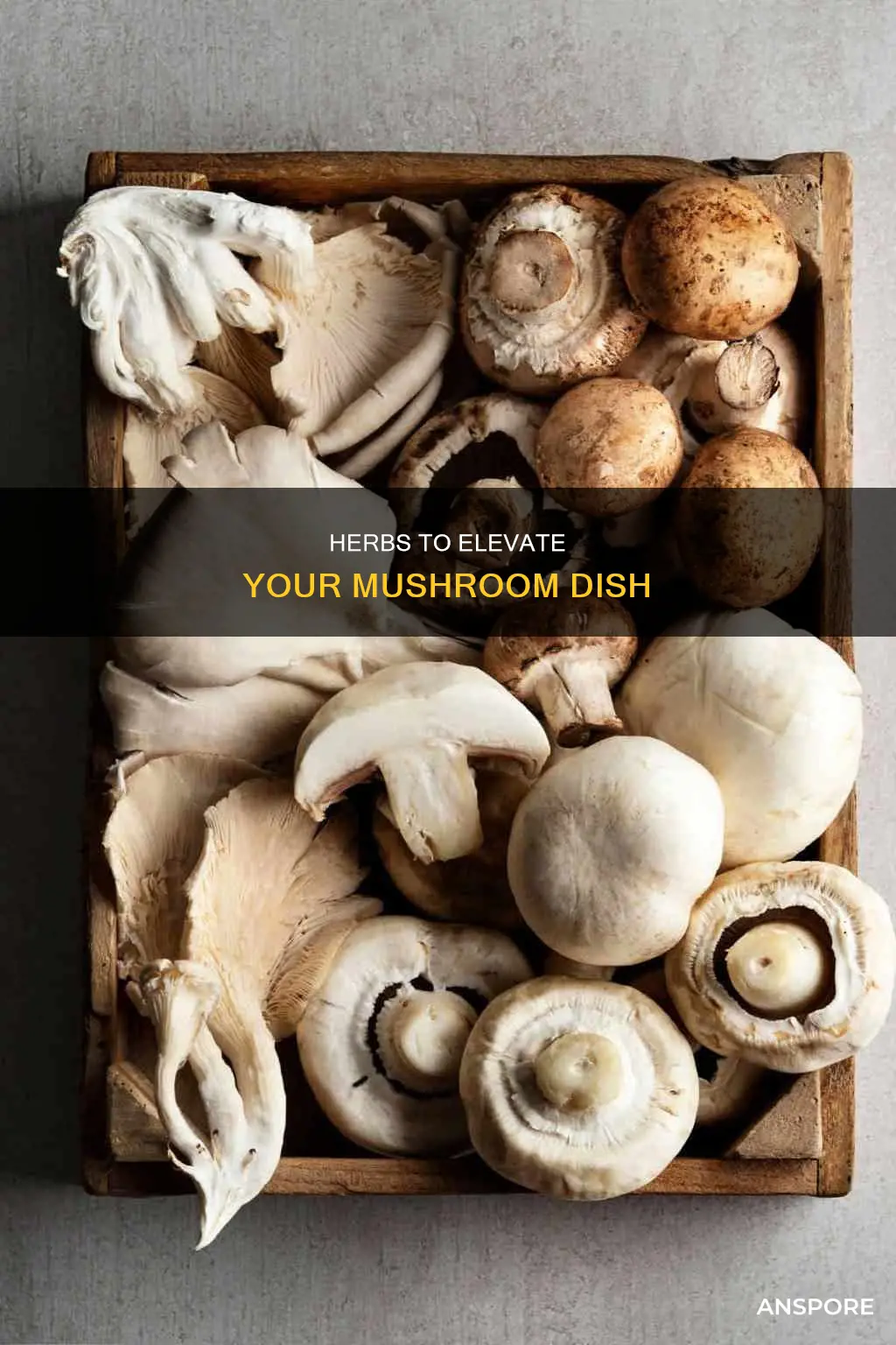 what herb compliments mushrooms
