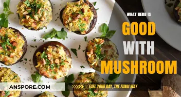 Enhance Your Mushroom Dishes: Top Herbs for Flavor and Aroma