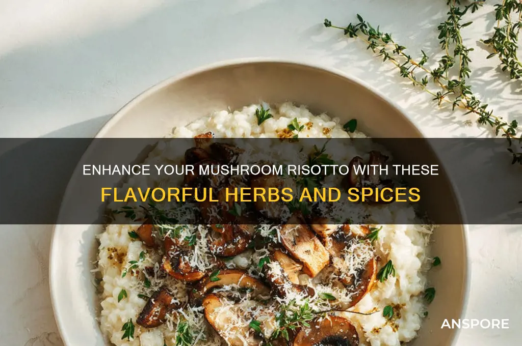 what herbs can i put in a mushroom risotto