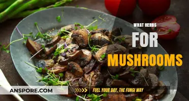 Herbs and Mushrooms: The Perfect Pairing