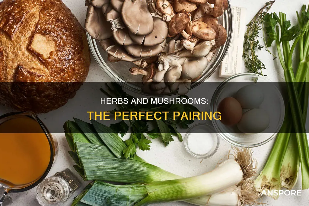 what herbs for mushrooms