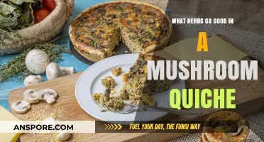 Herbs to Elevate Your Mushroom Quiche: Flavorful Combinations to Try