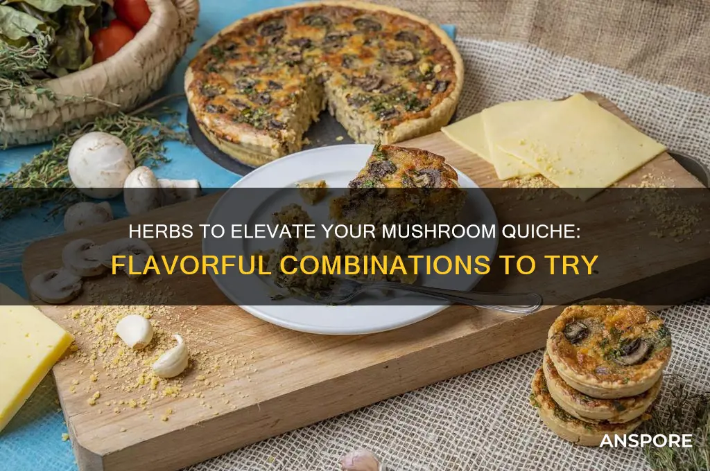 what herbs go good in a mushroom quiche