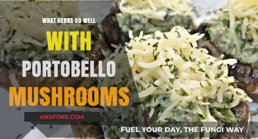 Flavorful Herbs to Elevate Your Portobello Mushroom Dishes Perfectly
