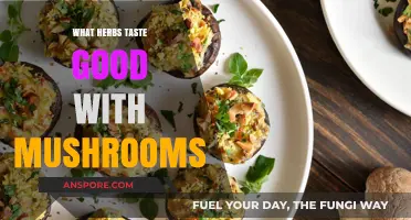 Enhance Your Mushroom Dishes: Top Herbs for Flavorful Pairings
