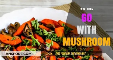 Herbs for Mushrooms: A Perfect Pairing Guide