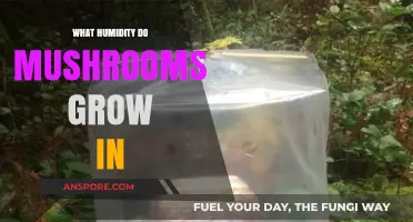 Optimal Humidity Levels for Mushroom Cultivation: A Comprehensive Guide
