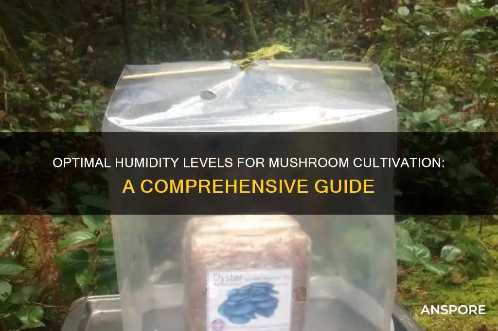 what humidity do mushrooms grow in