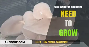 Optimal Humidity Levels for Successful Mushroom Cultivation: A Guide