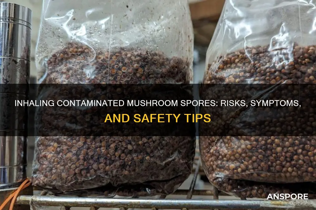 what if i breathe in contaminated spores from bad mushrooms