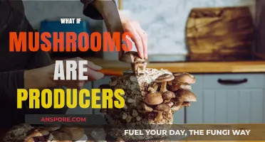 Mushrooms: The New Producers?