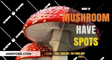 Mushroom Spots: What Do They Mean?