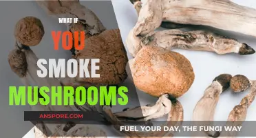 Exploring the Effects of Smoking Mushrooms