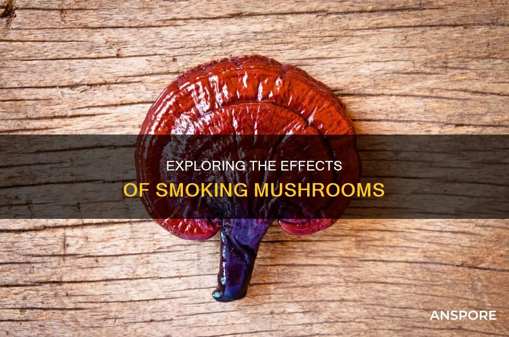 what if you smoke mushrooms