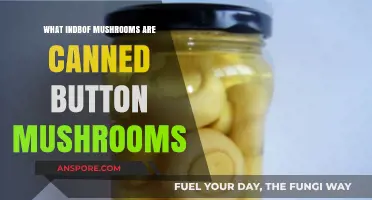 Canned Button Mushrooms: Exploring the Role of Indbof in Preservation