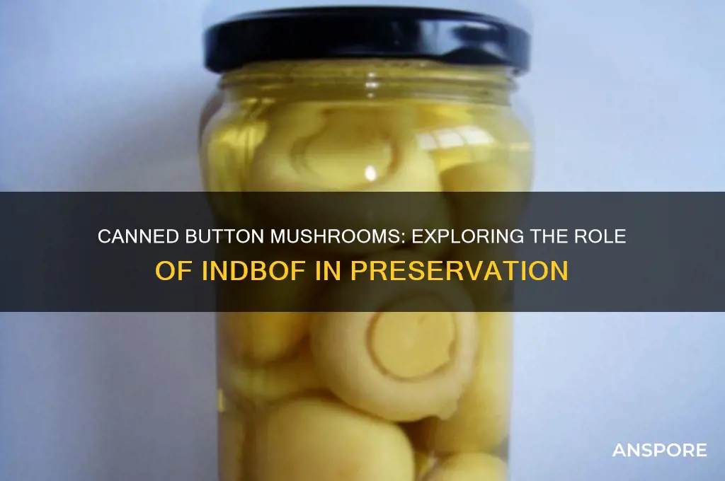 what indbof mushrooms are canned button mushrooms