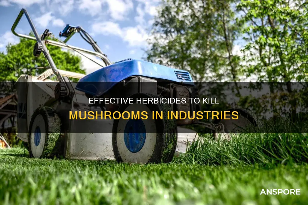 what industrial herbicides kill mushrooms