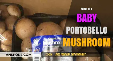 Discovering Baby Portobello Mushrooms: A Tasty Culinary Guide