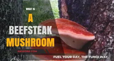 Beefsteak Mushrooms: Nature's Delicious Red Cap Wonder