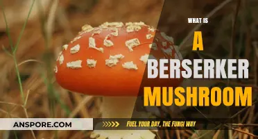 The Berserker Mushroom: A Powerful Natural Stimulant