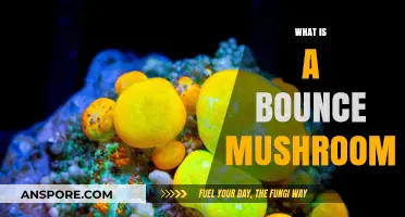 Mushroom Bouncing: What's the Deal?