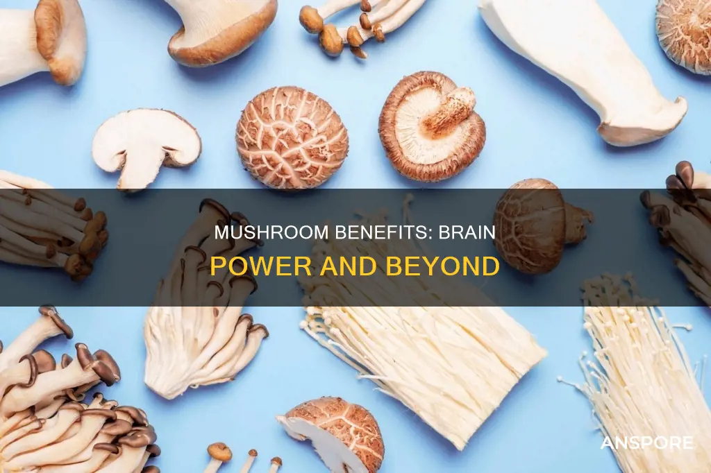 what is a brain mushroom