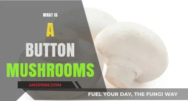 Mushroom Magic: Unveiling the Button Variety