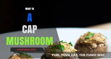 Mushroom Cap: A Tasty Treat