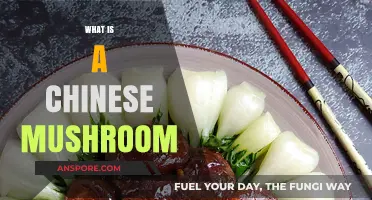 Mushroom Magic: Unveiling China's Ancient Superfood