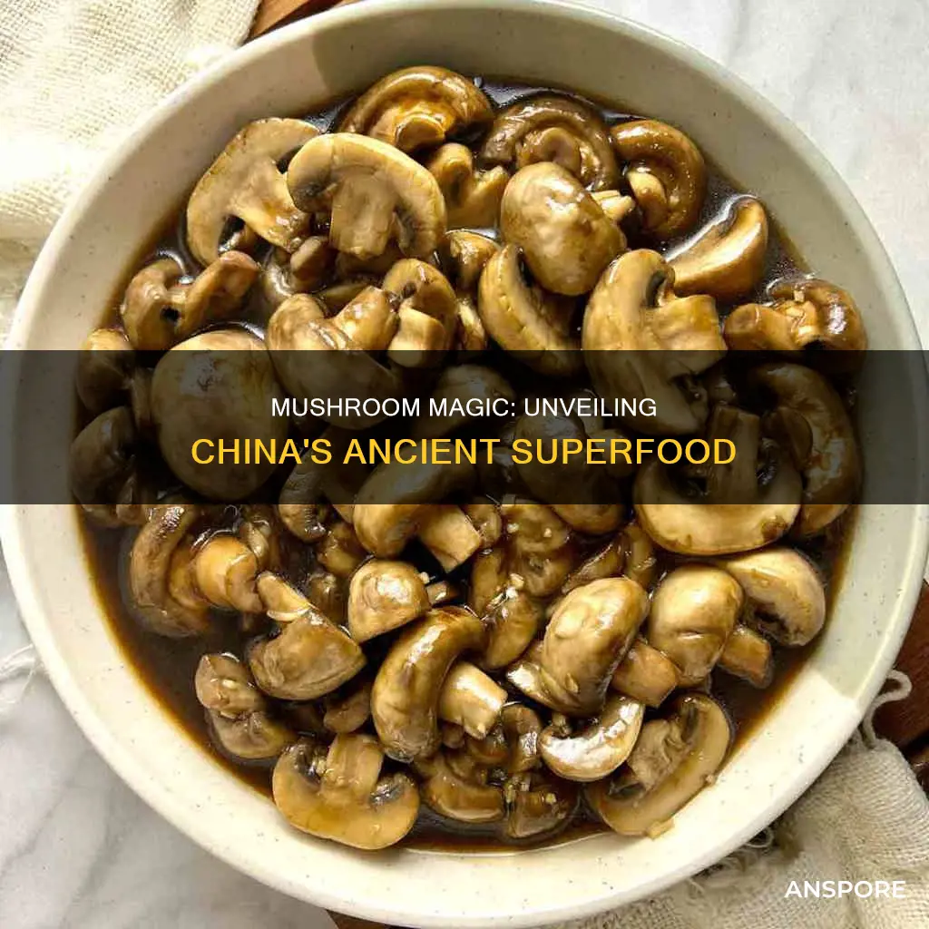 what is a chinese mushroom