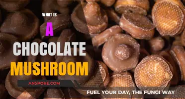 Chocolate Mushrooms: A Tasty, Healthy Treat