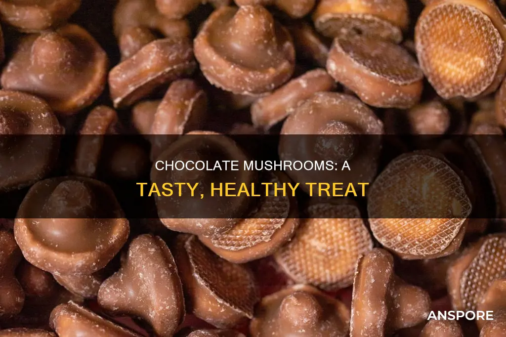 what is a chocolate mushroom