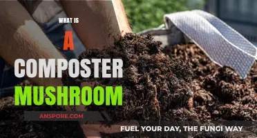 Mushroom Compost: Nature's Super-Efficient Decomposers