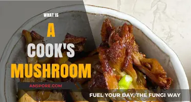 What is a Cook's Mushroom? A Culinary Guide to This Versatile Fungus
