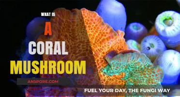 Mushroom Magic: Coral Fungi Explained
