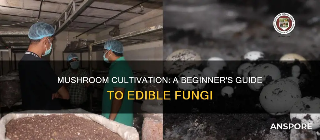 what is a cultivated mushroom