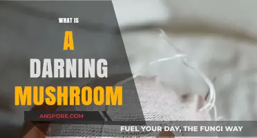 The Ultimate Guide to Darning Mushrooms