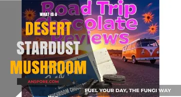 Desert Stardust Mushroom: Unveiling the Mystical Fungus of Arid Lands