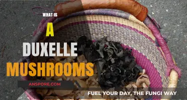 Mushroom Duxelles: The Ultimate Umami Flavor