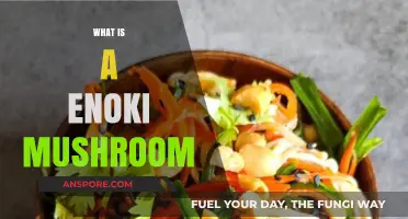 Enoki Mushrooms: Health Benefits and Uses