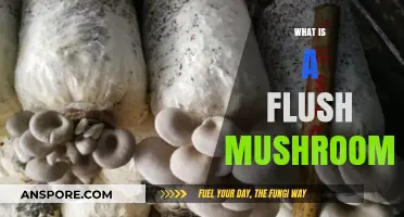 The Ultimate Guide to Flush Mushrooms