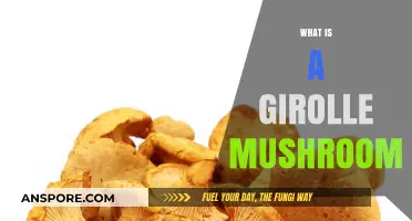 Discover Girolles: The Ultimate Wild Mushroom