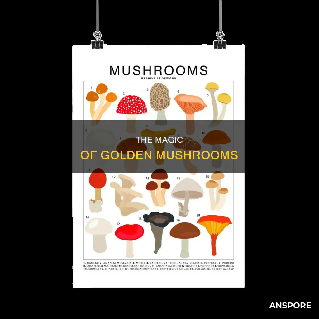 what is a golden mushroom