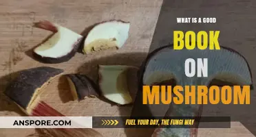 Discover the Best Book on Mushrooms for Beginners and Enthusiasts
