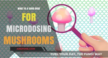 Microdosing Mushrooms: Finding Your Optimal Dose for Enhanced Well-being