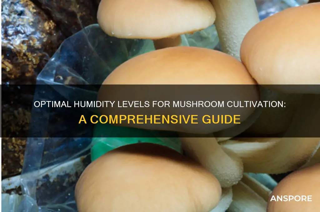 what is a good humidity level for mushrooms