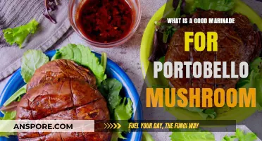 Perfect Portobello Marinade: Flavorful Recipes for Juicy, Grilled Mushrooms