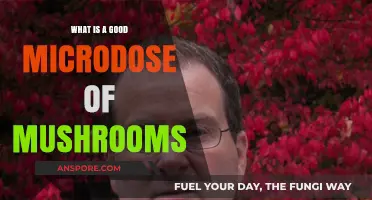 Exploring Microdosing: Optimal Mushroom Dosage for Enhanced Focus and Creativity