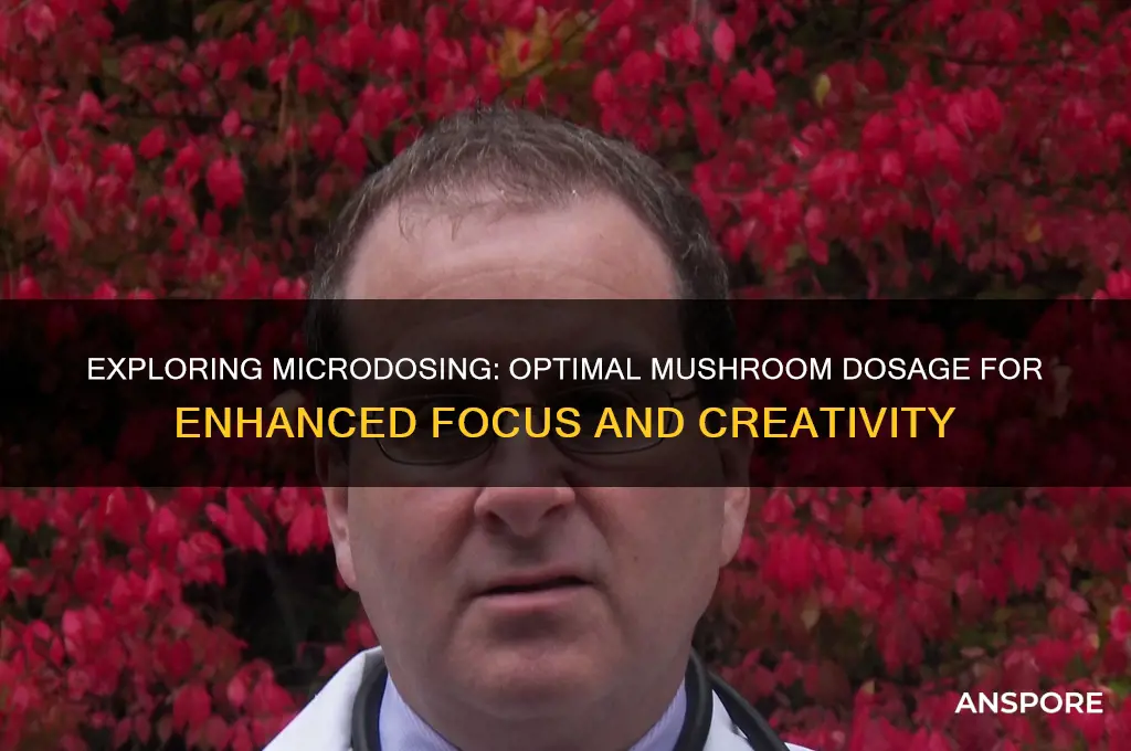 what is a good microdose of mushrooms