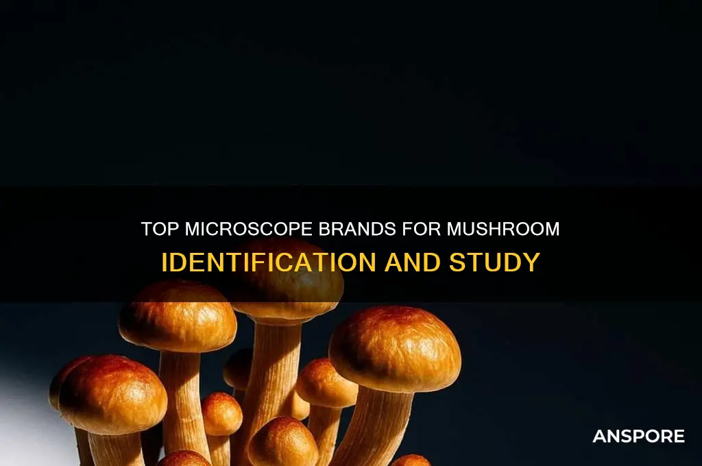 what is a good microscope brand for mushrooms